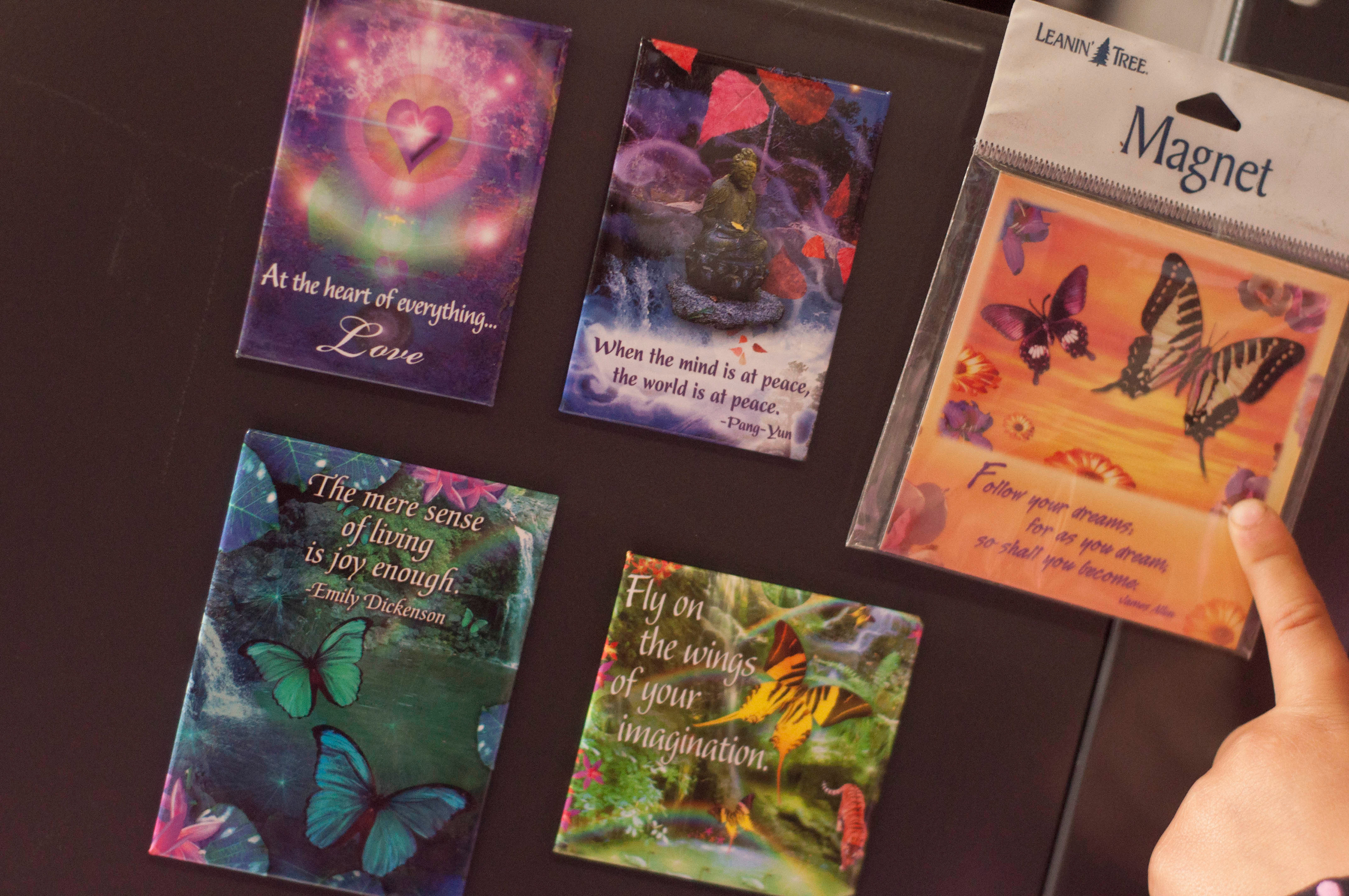 Magnets published by Leanin Tree