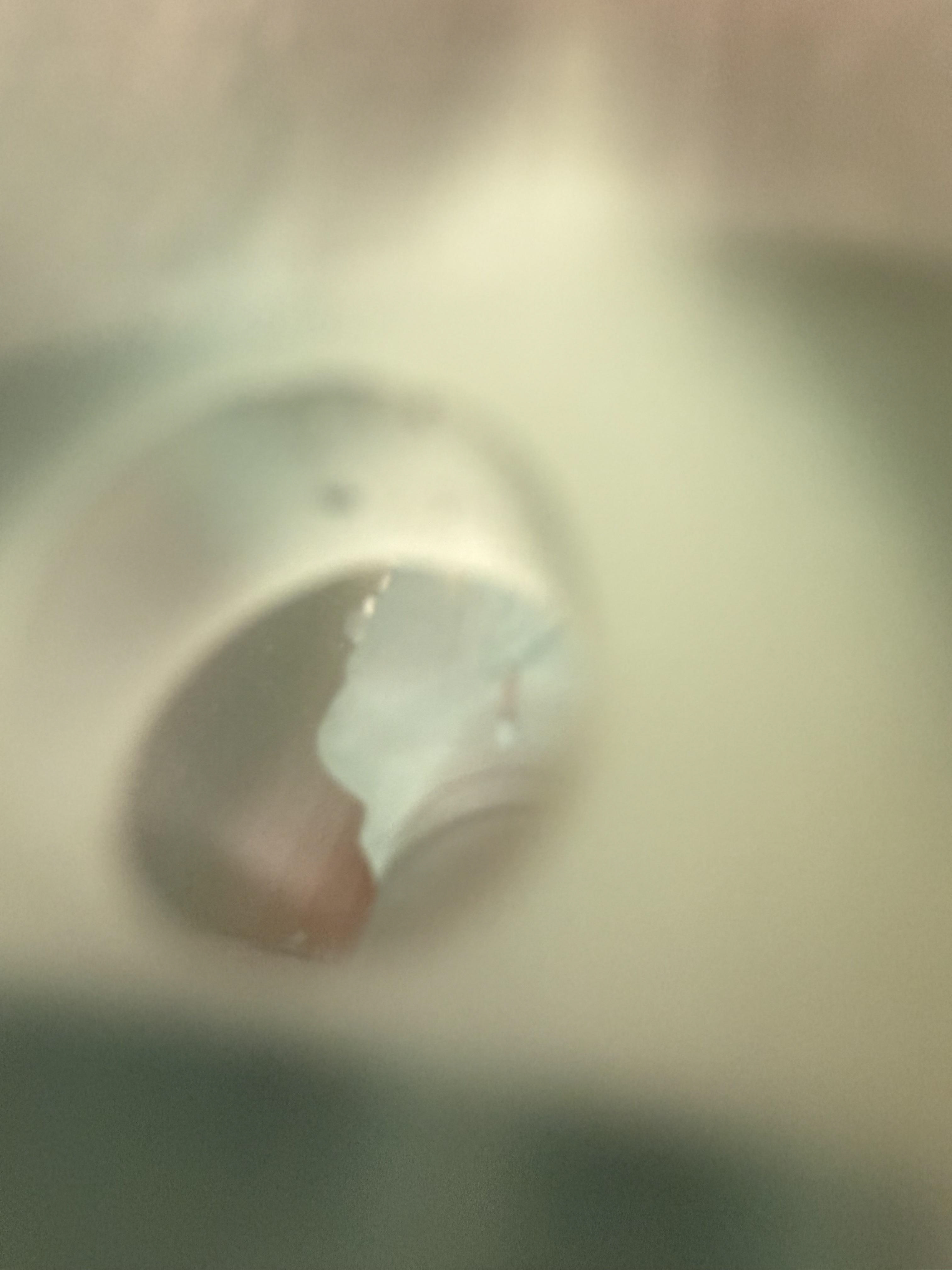 View of model from the drainage hole