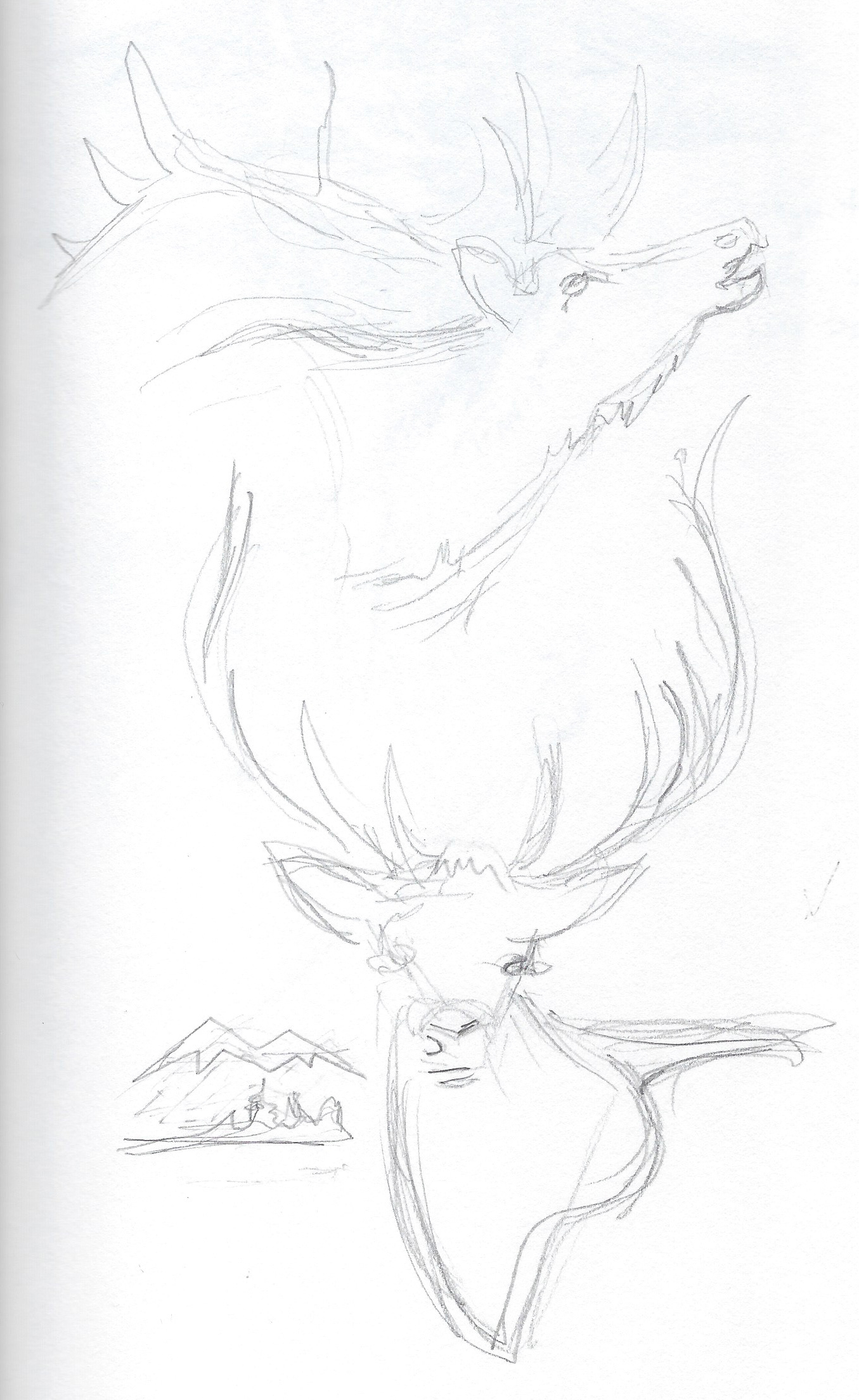 Early Sketch
