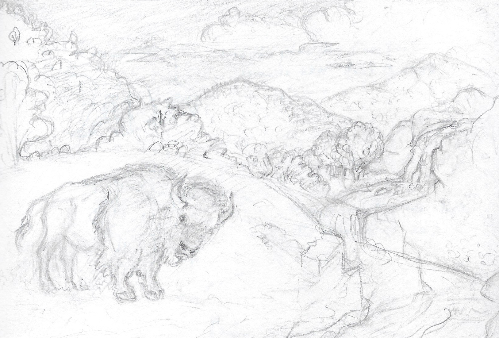 Bison in Lush Landscape