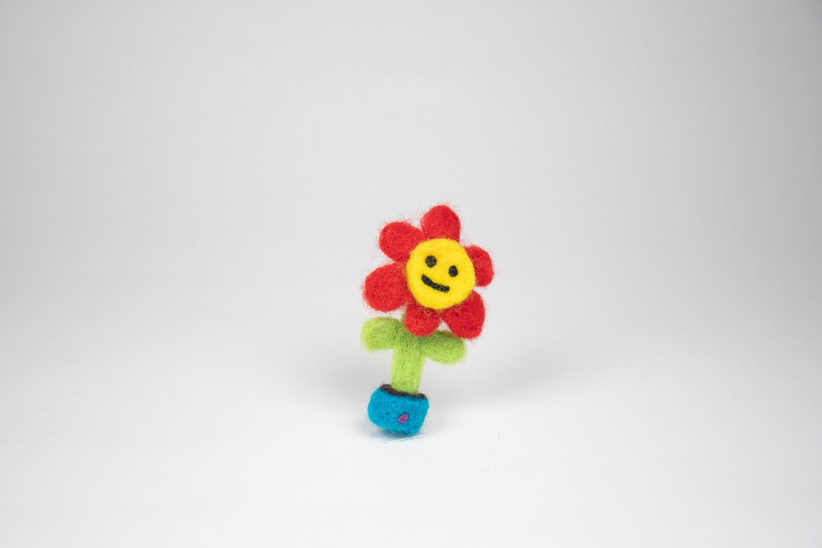 Red Flower in a Pot