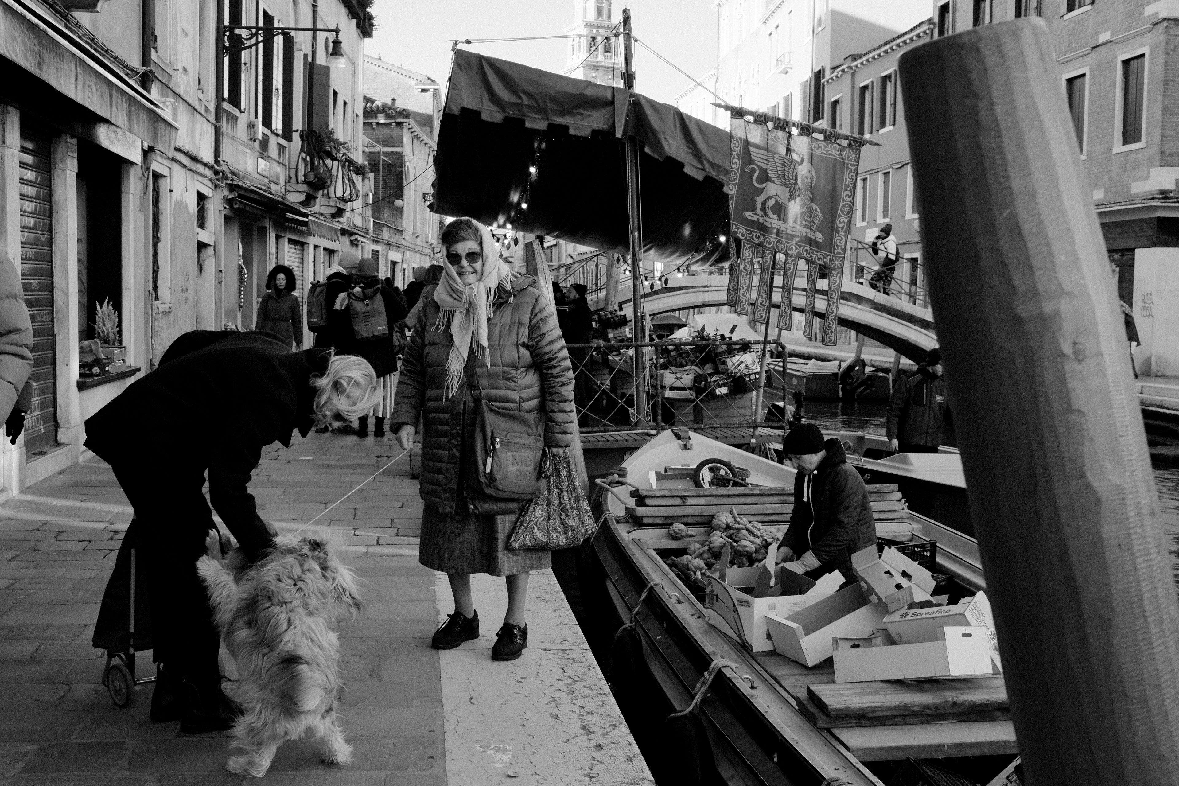 Dogs greet a lady. Venice, Italy 2025.