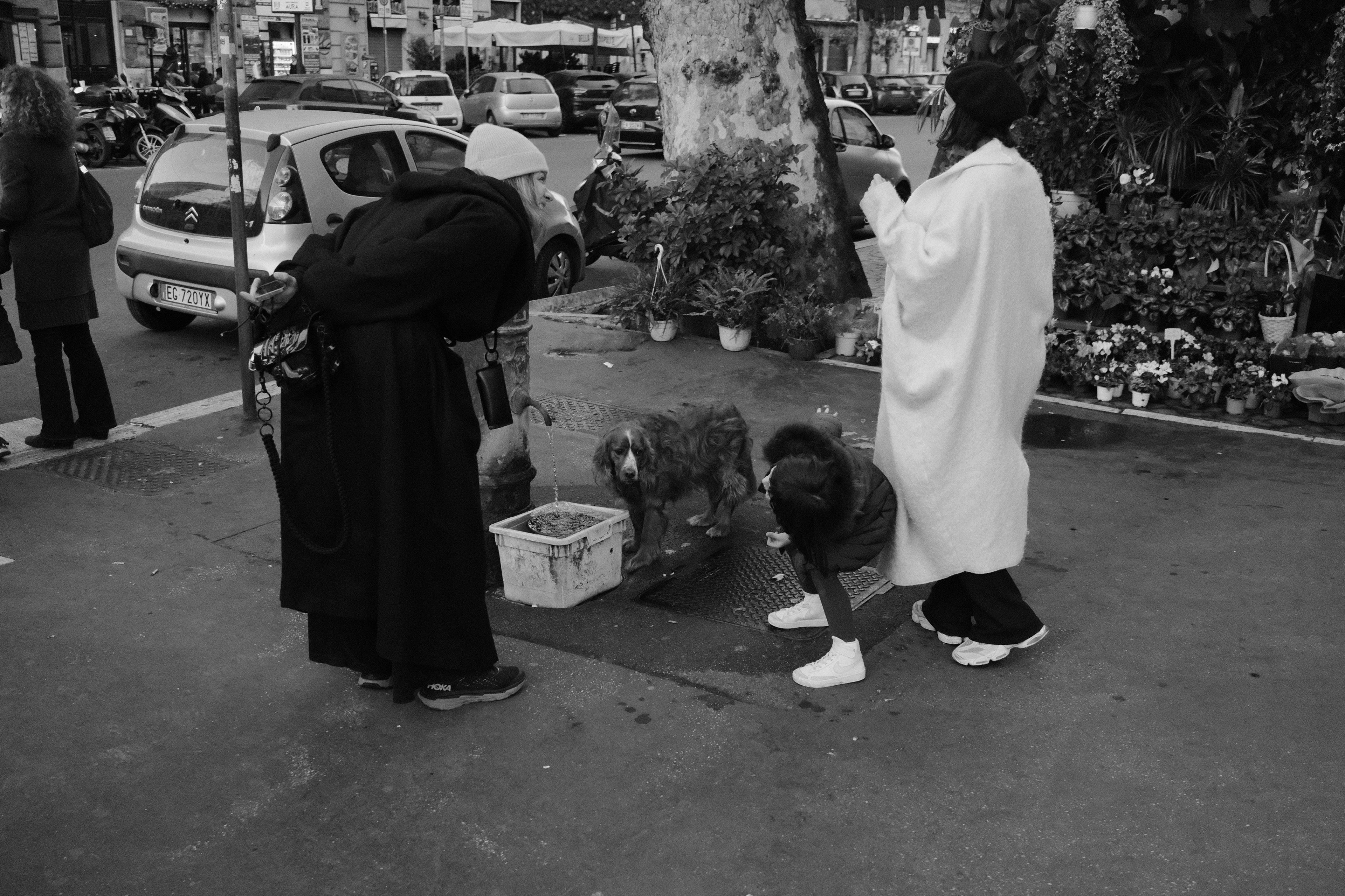 Two ladies and a child observing a straydog. Rome, Italy 2024.