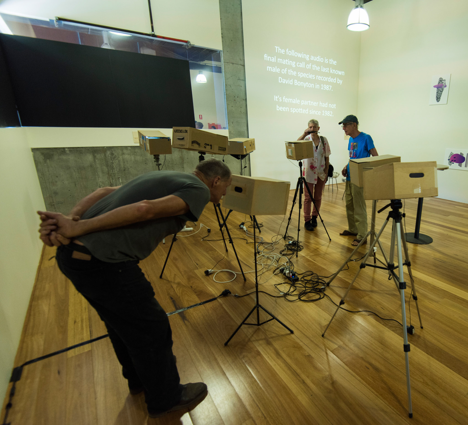 Peephole cinema at Art Not Apart 2017 Photo Martin Ollman