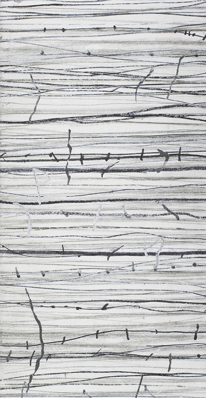 Etching, drypoint, collage 290mmx775mm 2007. Photograph by Stuart Hay, ANU Photography.
