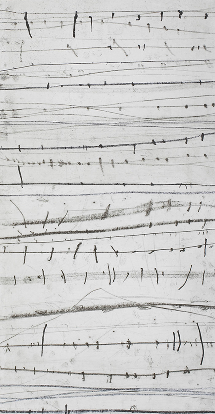 Etching, drypoint, collage 290mmx775mm 2007. Photograph by Stuart Hay, ANU Photography.