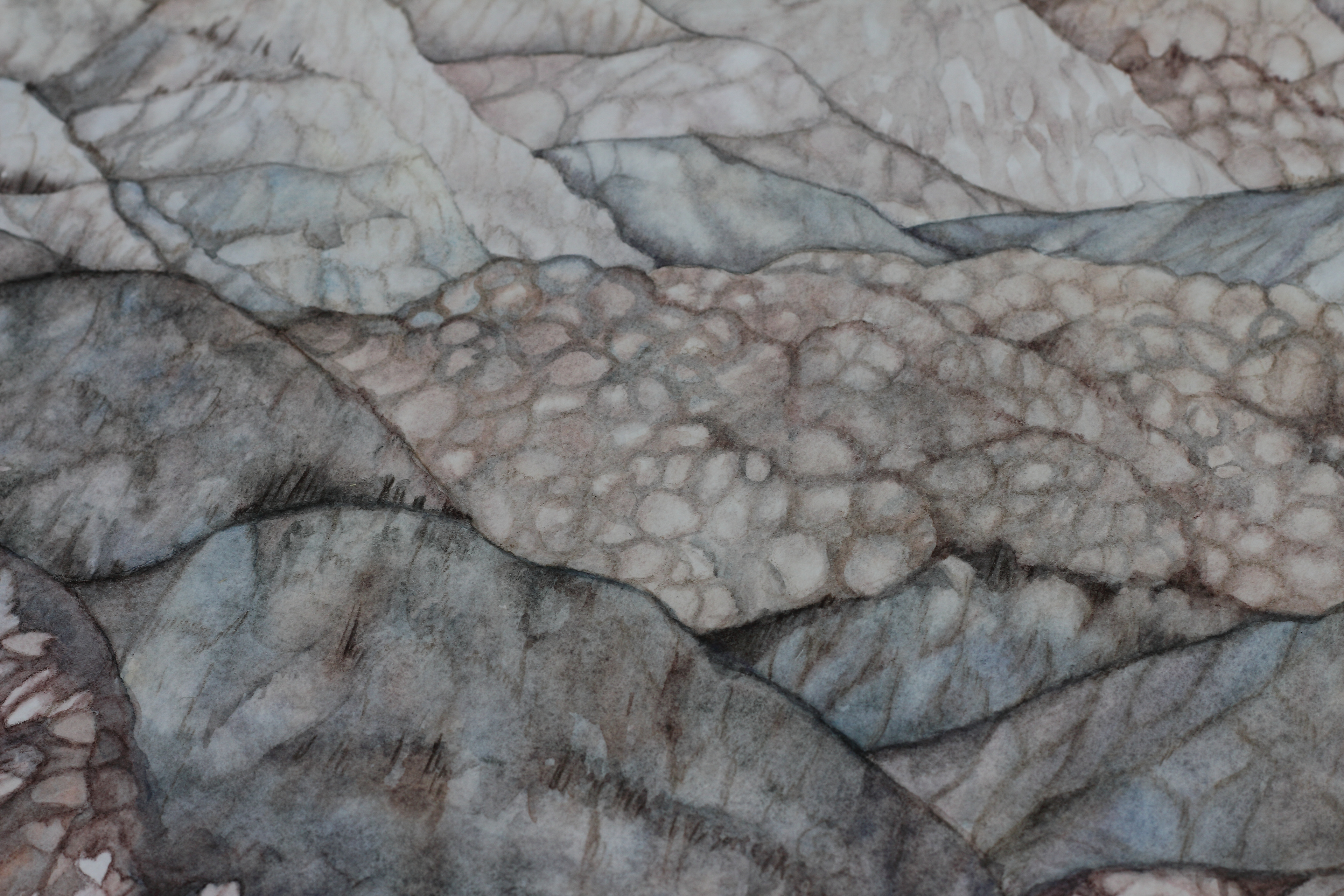 Mystic Majesty, ©2024 Stephanie Janke, sjjdesign.com