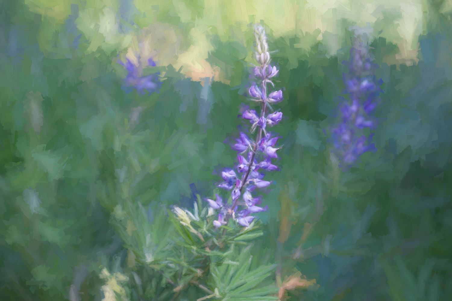 Meadow Whisper