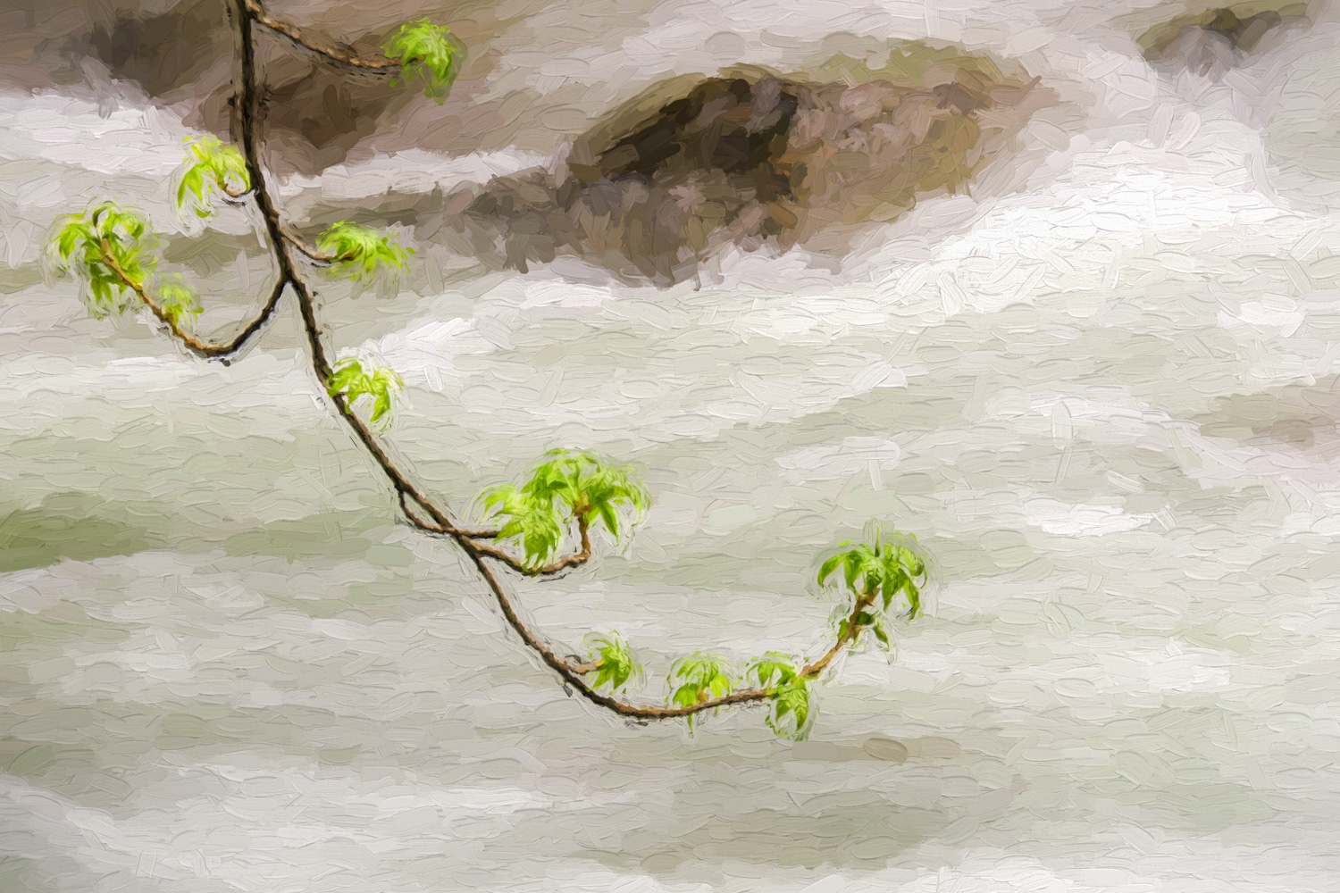 Branch Over Water #1