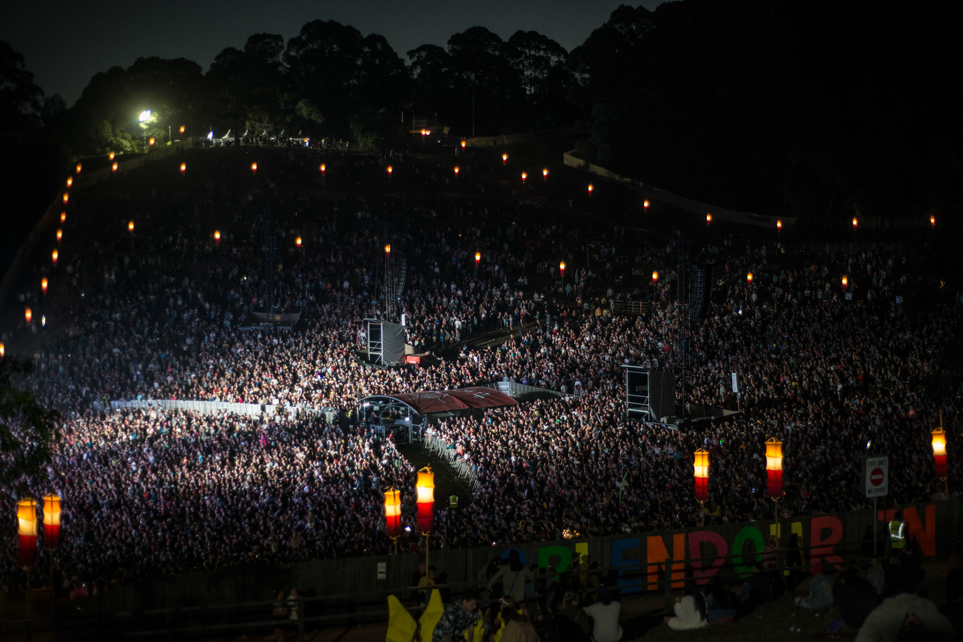 Splendour In The Grass