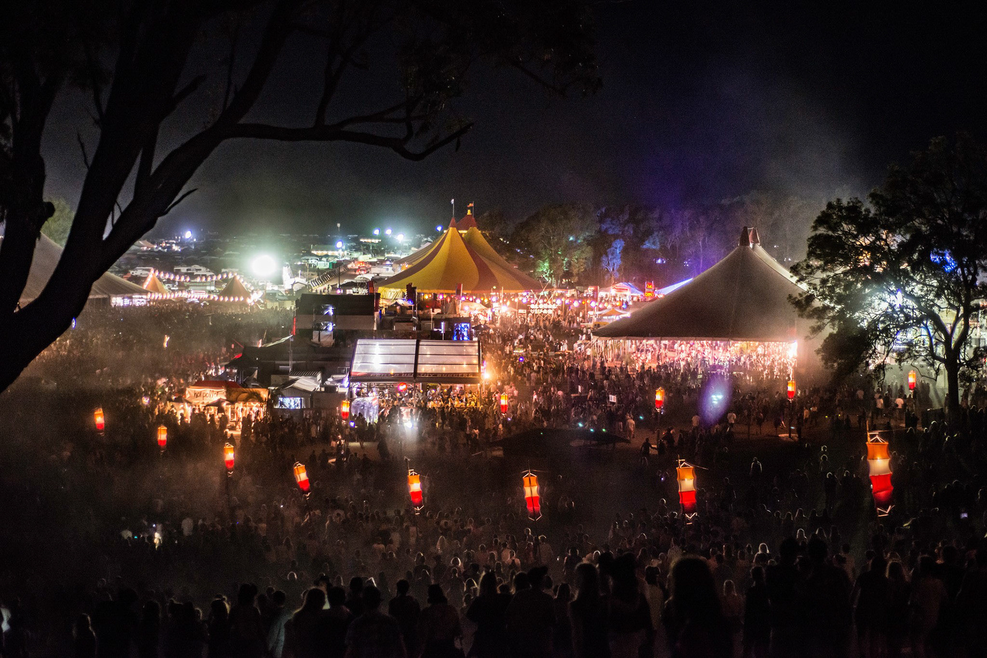 Splendour In The Grass