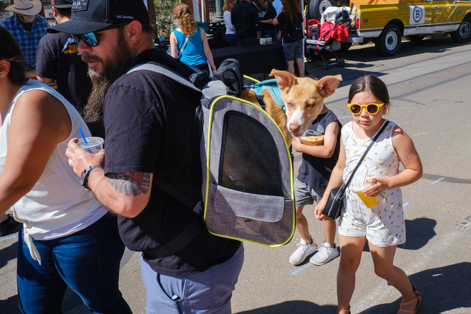 Hip sister and her dog brother