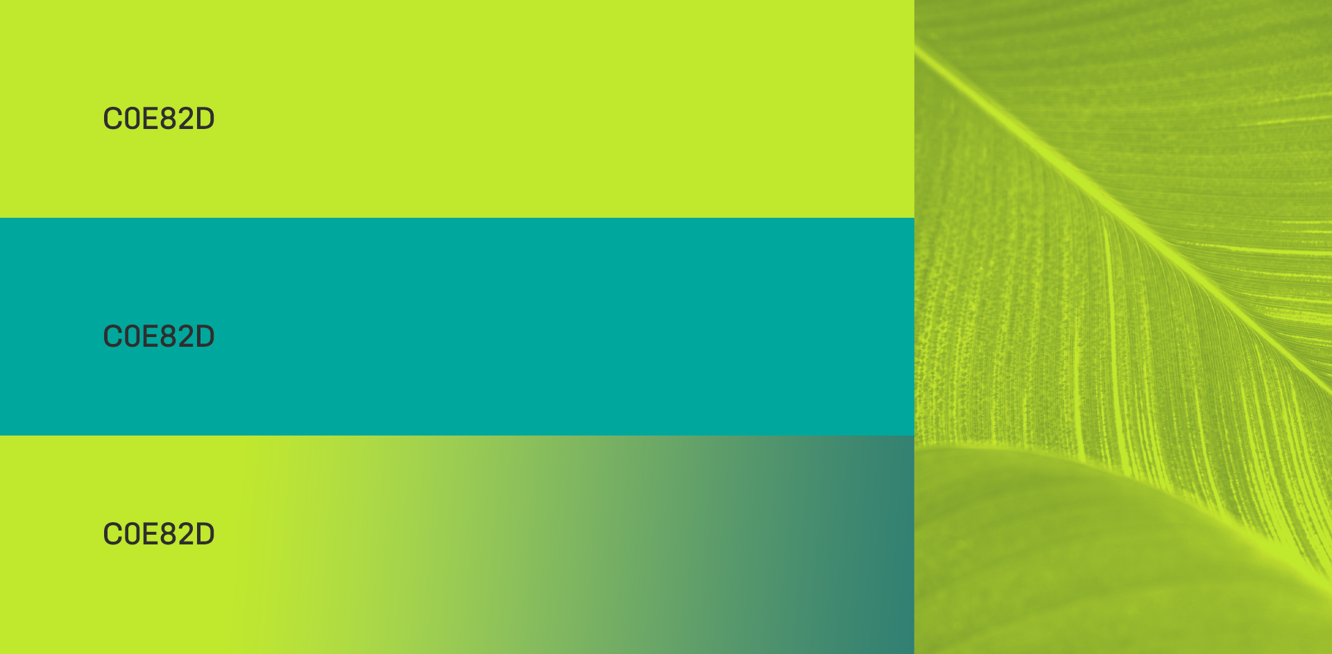 Consultoria ambiental — Identidade visual (3)