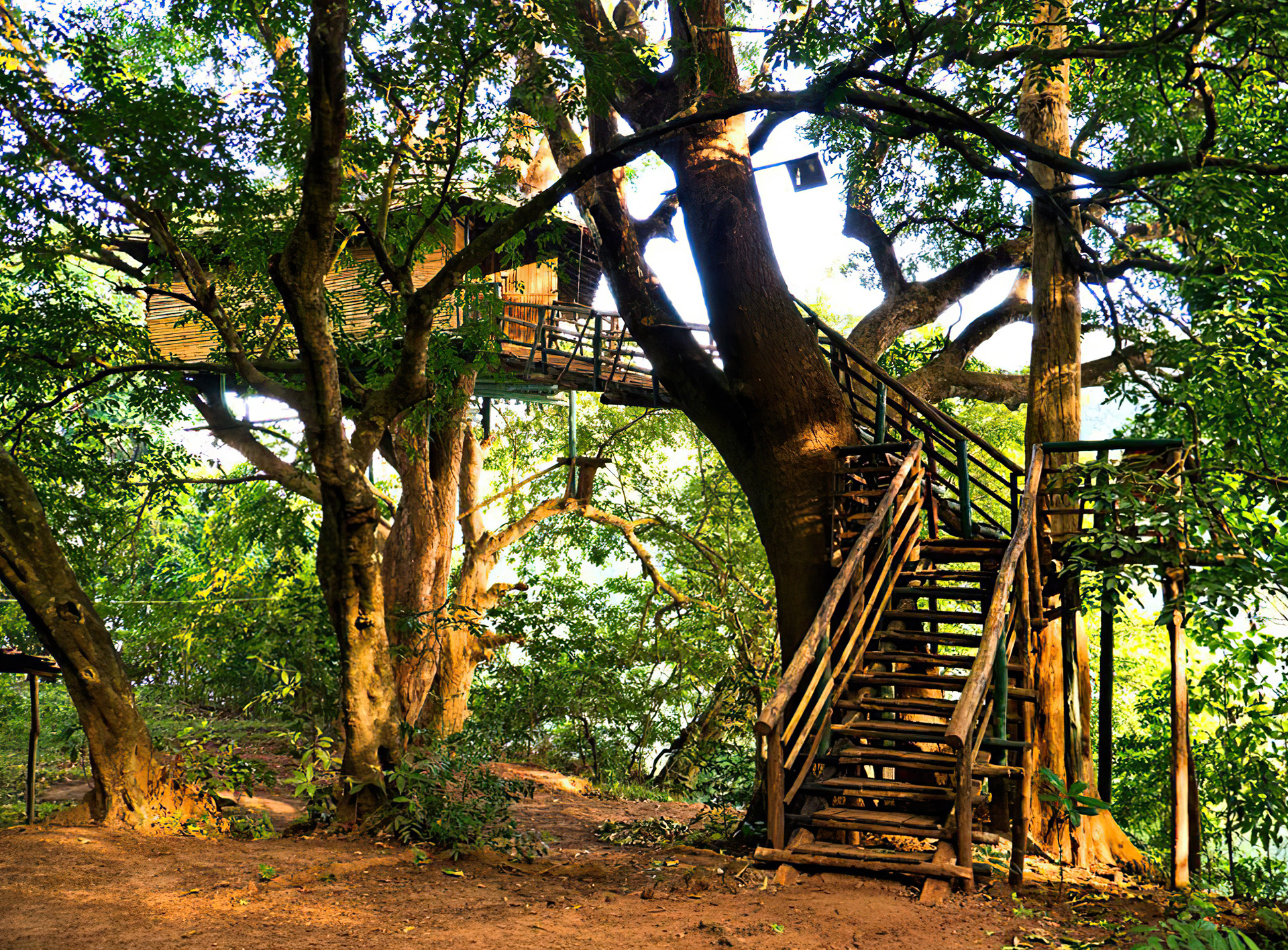 Hornbill River Resort