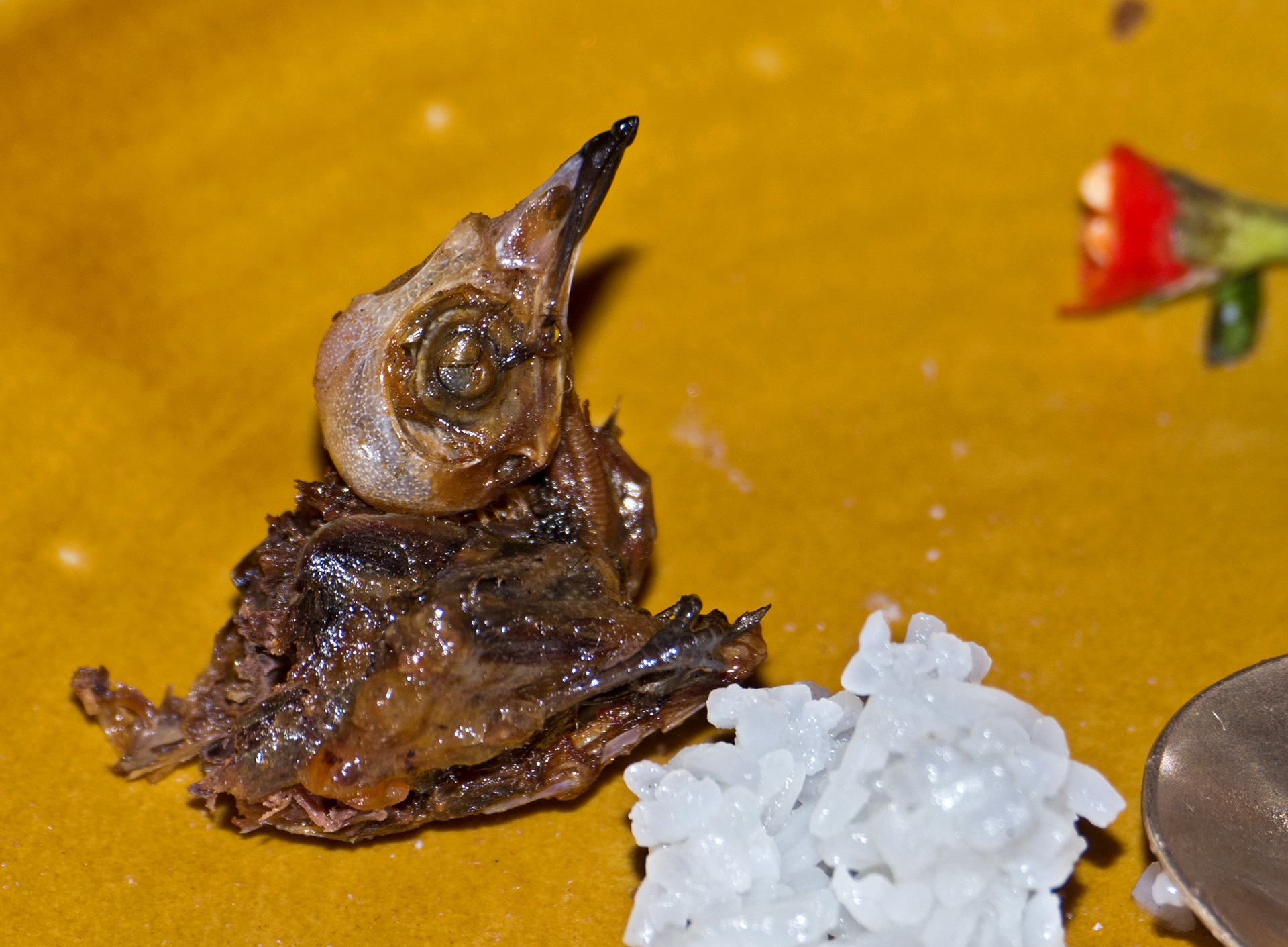 Deep fried swiftlet - the single most disgusting thing I have ever tasted