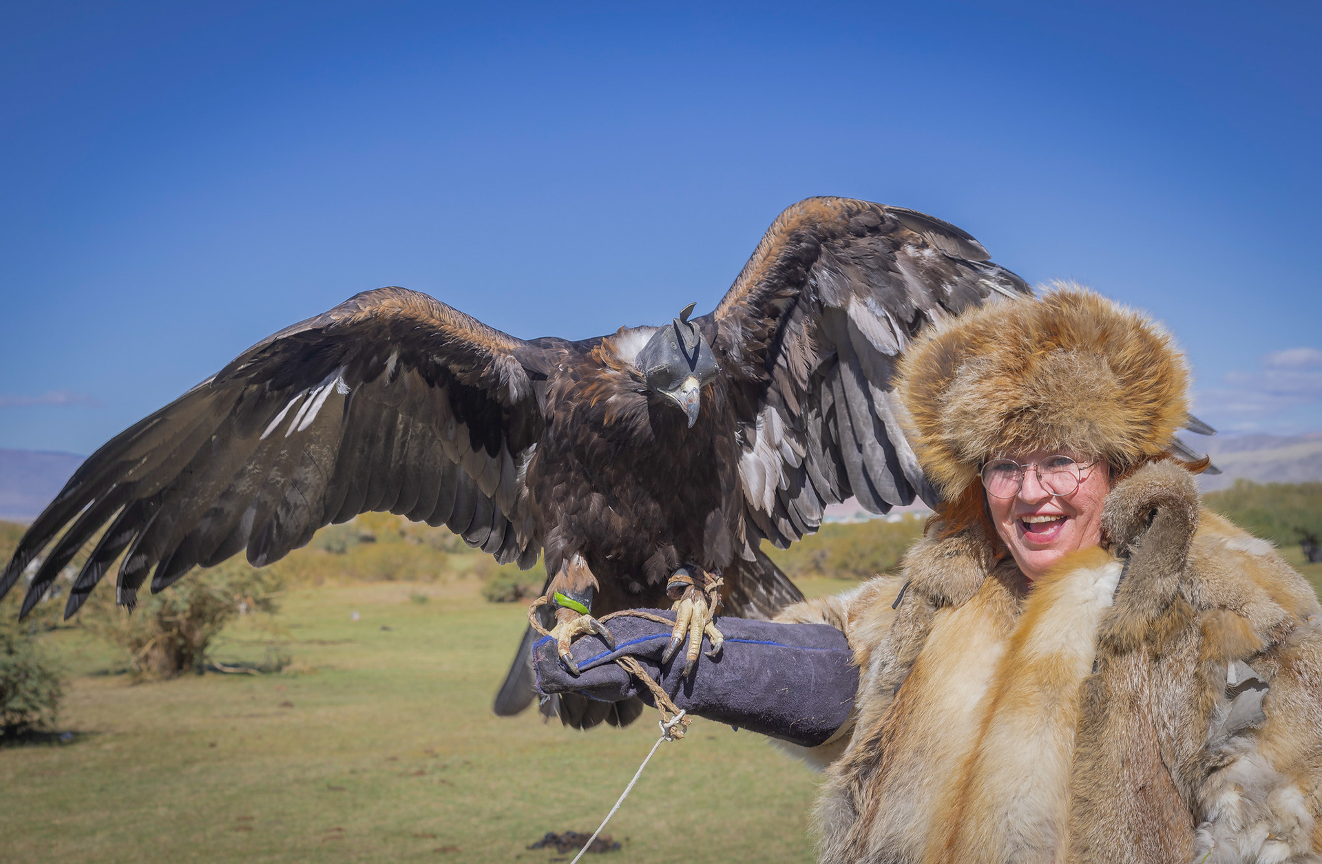 Golden Eagles are VERY heavy!