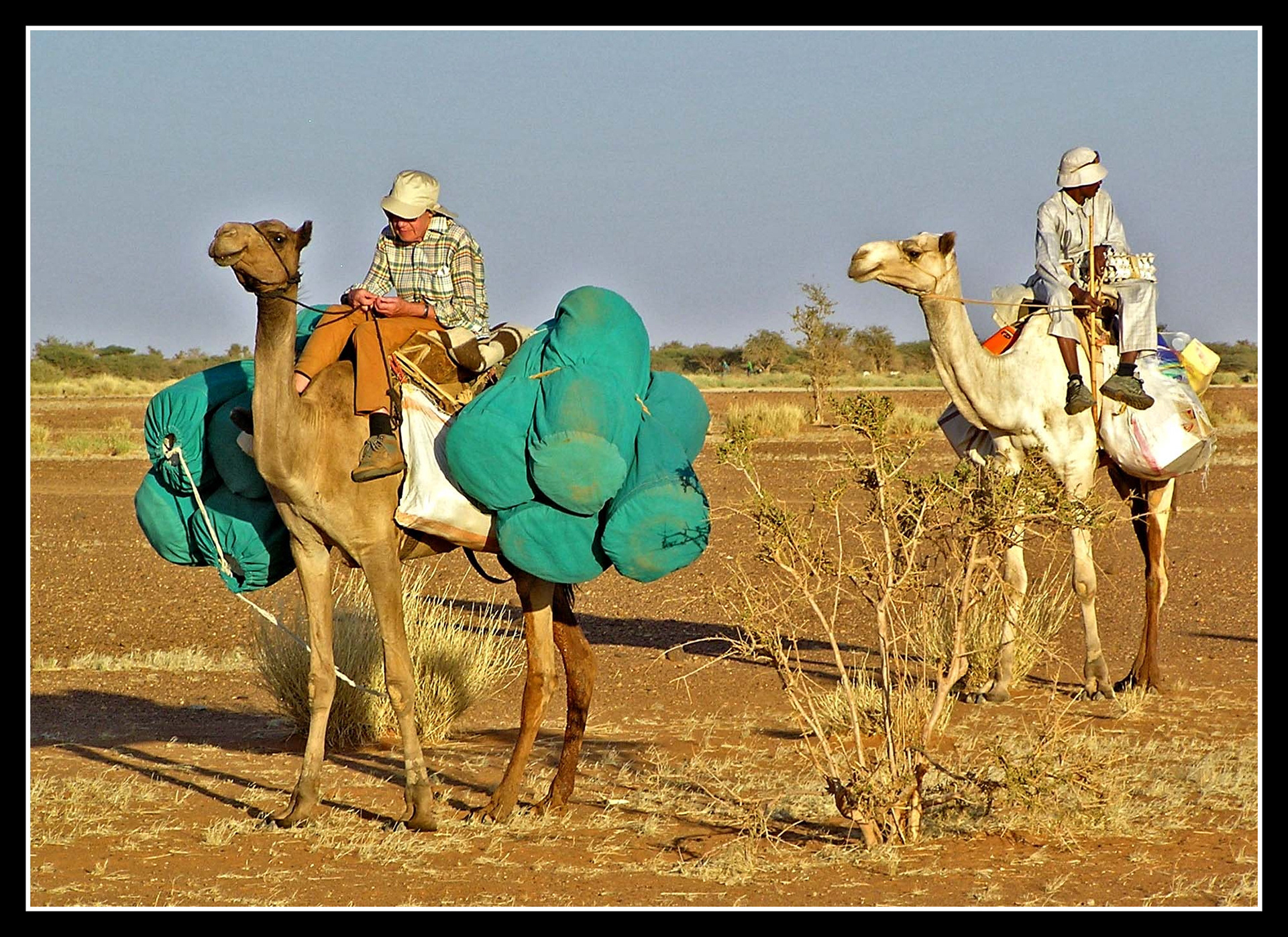 Camel trekking in the Sahara