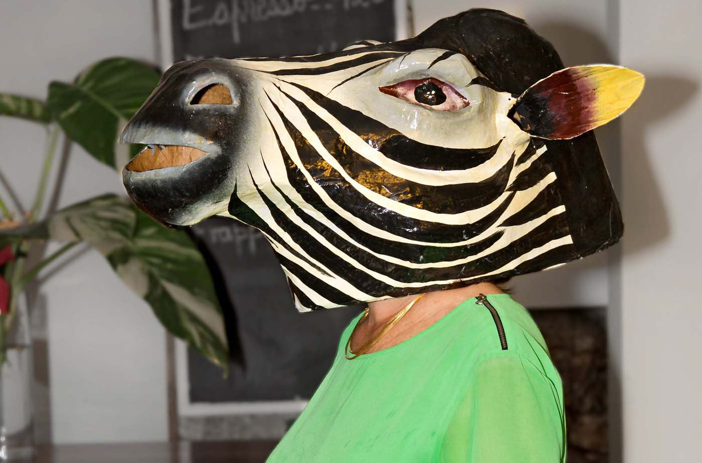 The evening ended with the Canadian Ambassador wearing a zebra head