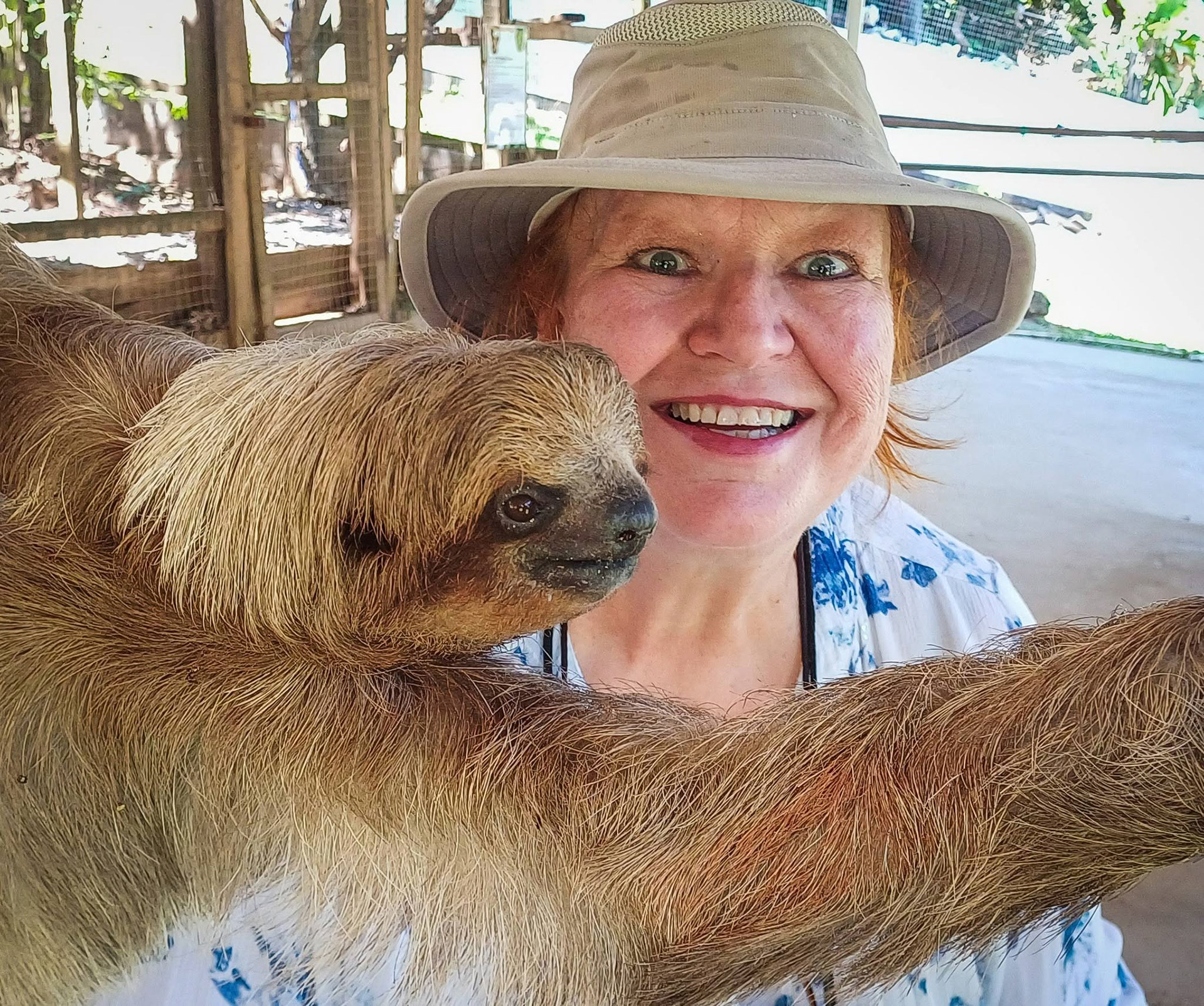 Sloth