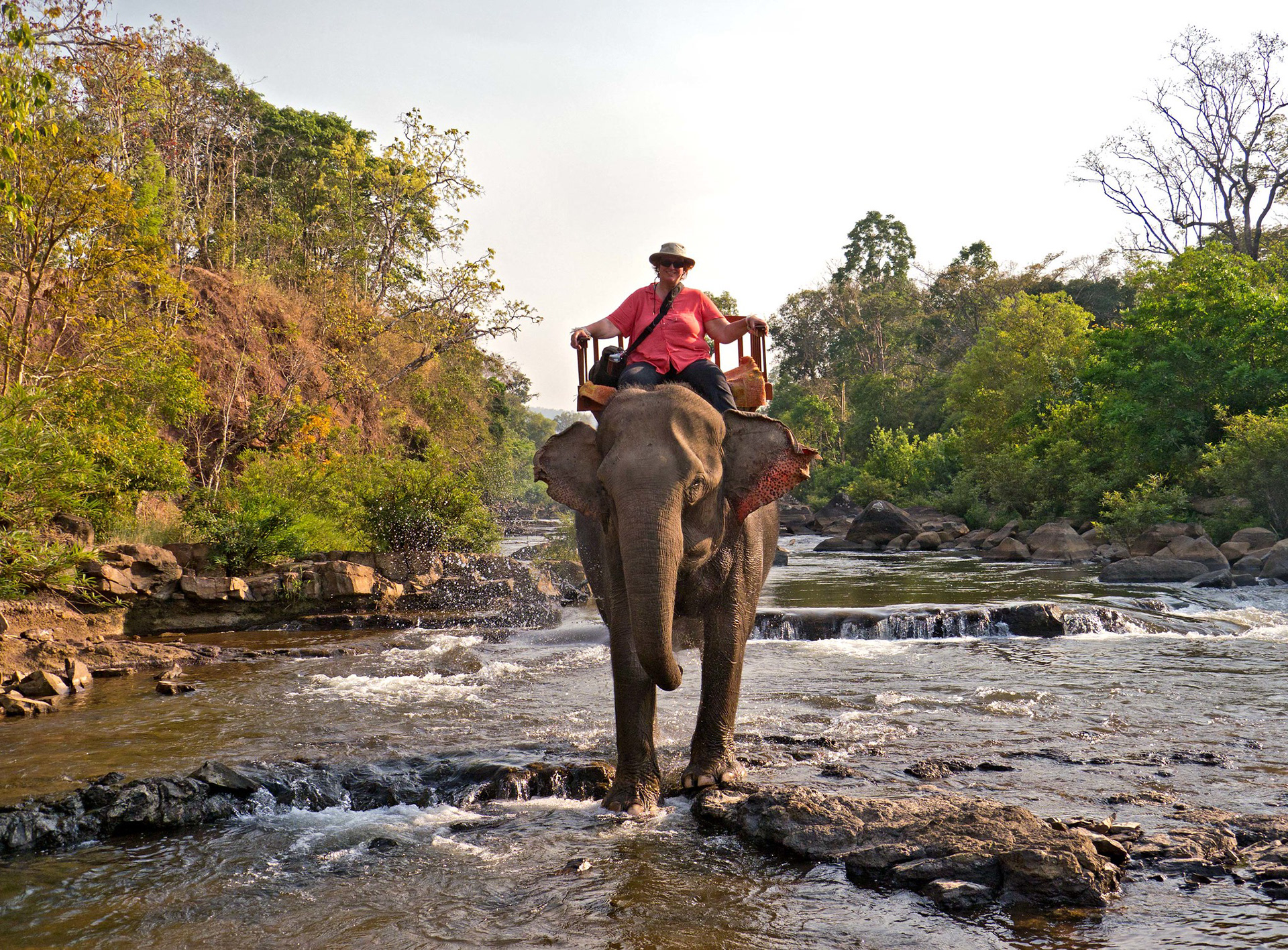 Elephant riding
