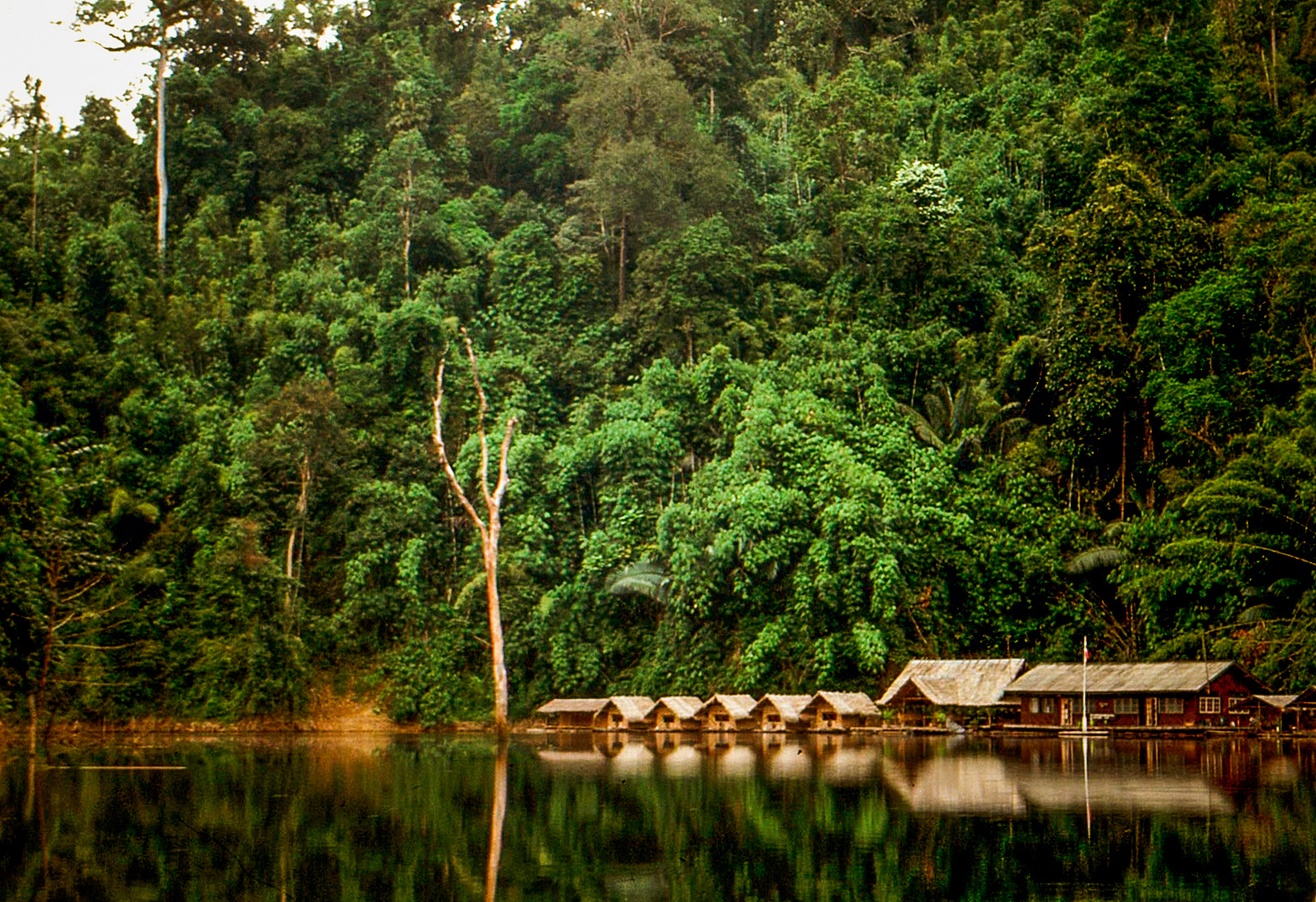 Floating bamboo rafts in Thailand