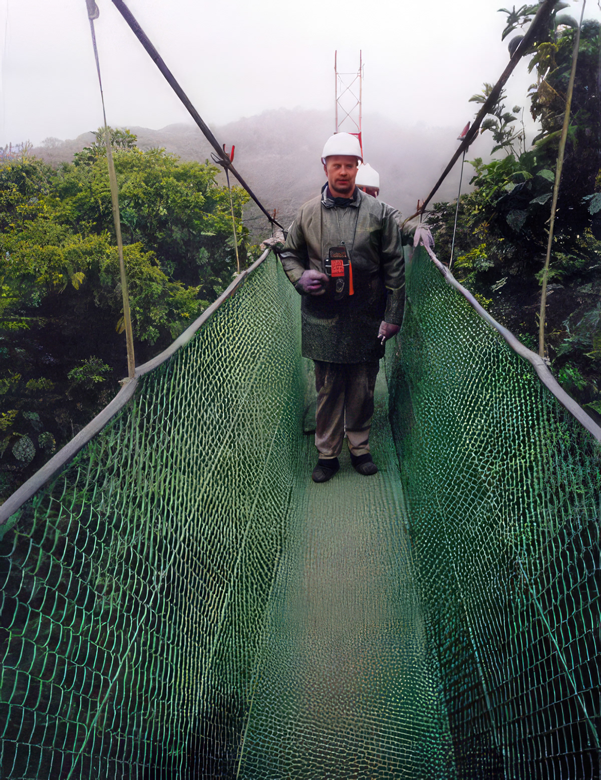 On the canopy walkway