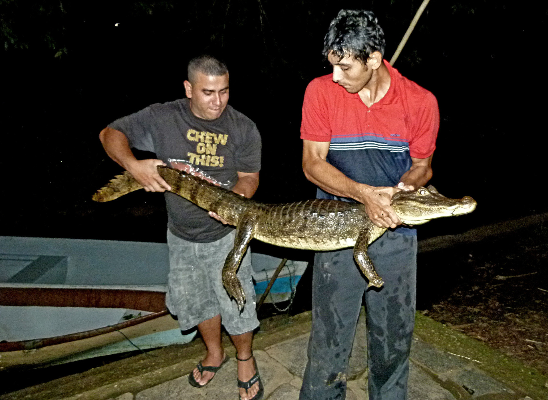 When they said "cayman hunting", I didn't expect them to bring one back with us