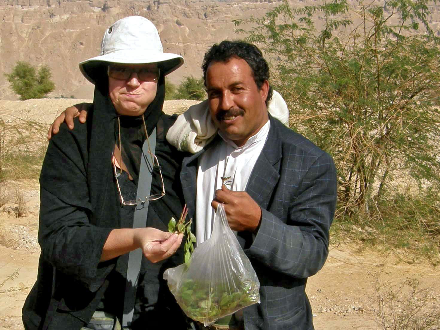 Chewing qat in Yemen