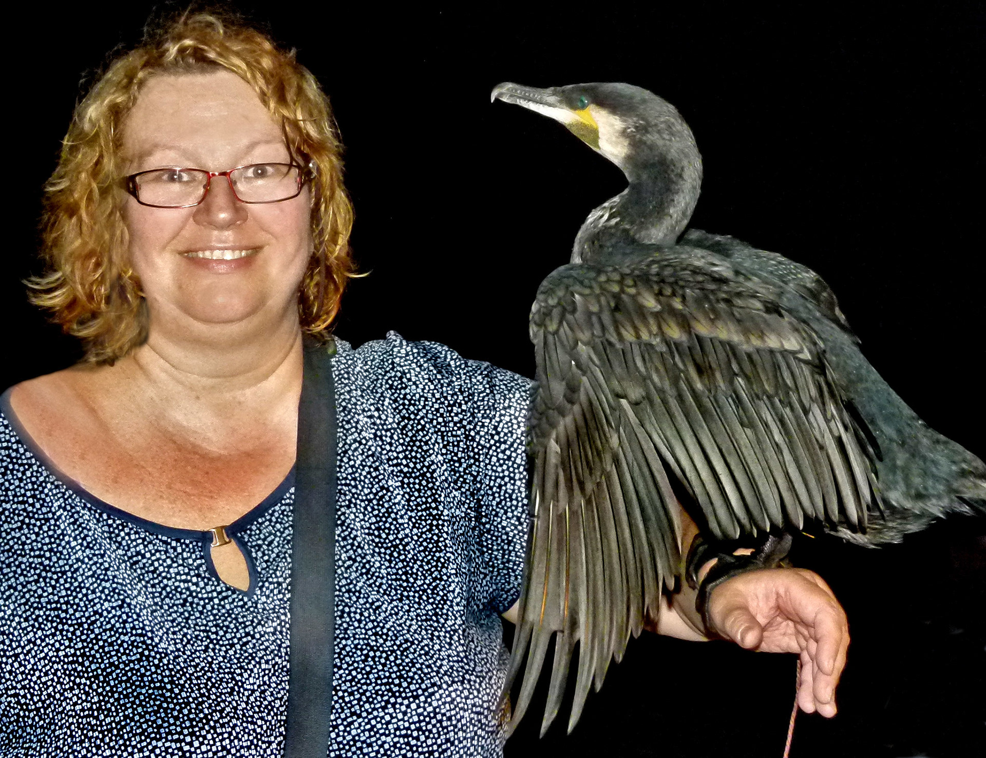 Fishing with cormorants