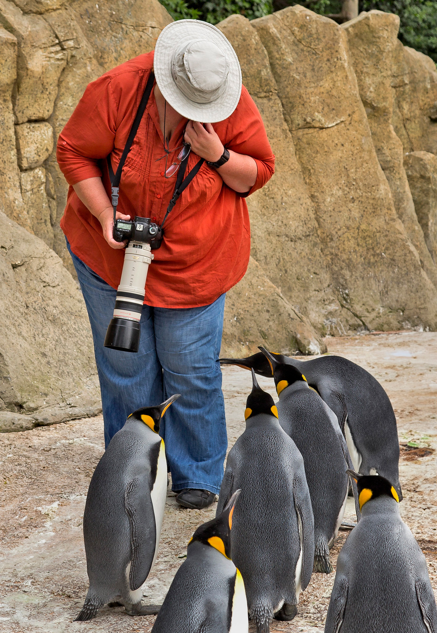 The penguin-pecker left a nasty bruise on my thigh