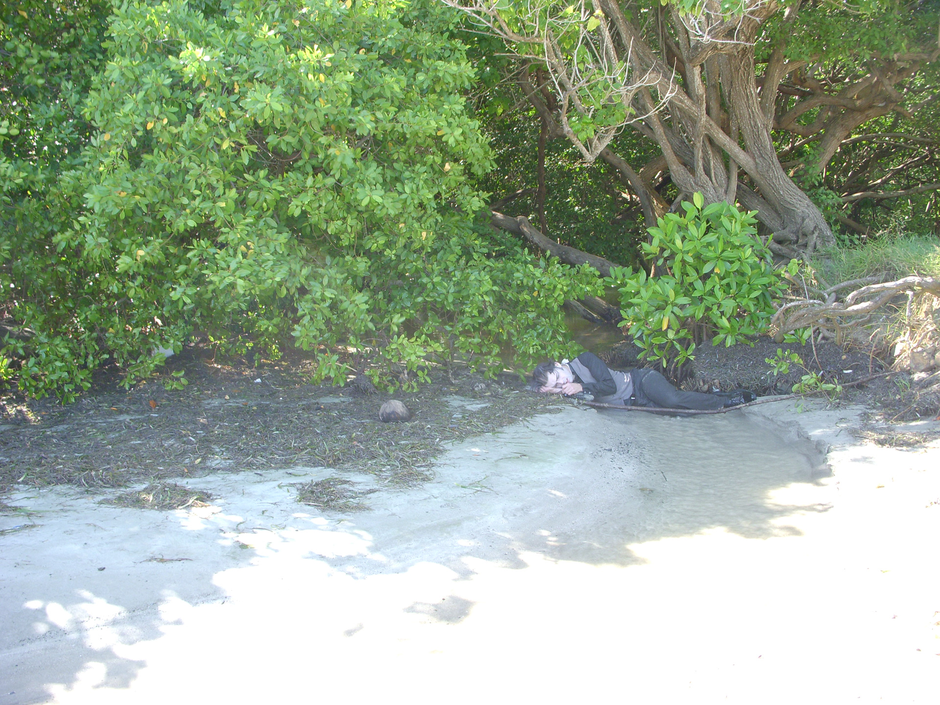 Filming "Blood Jungle" - Puerto Rico - 2010