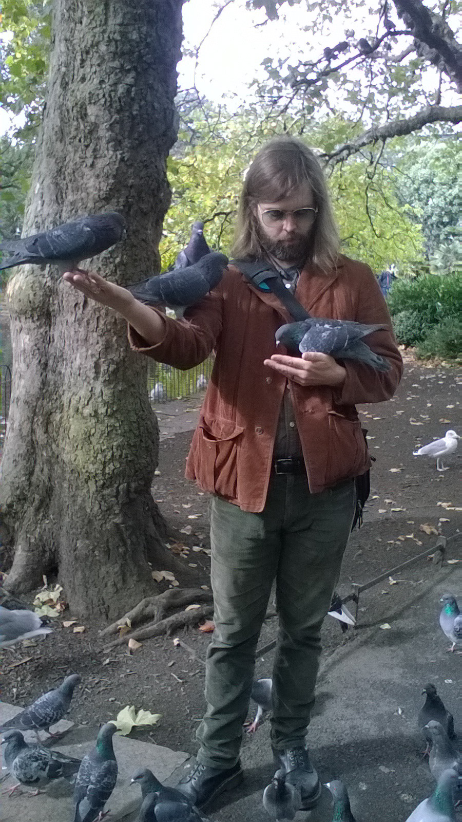 St. Stephen's Green - Dublin - 2017
