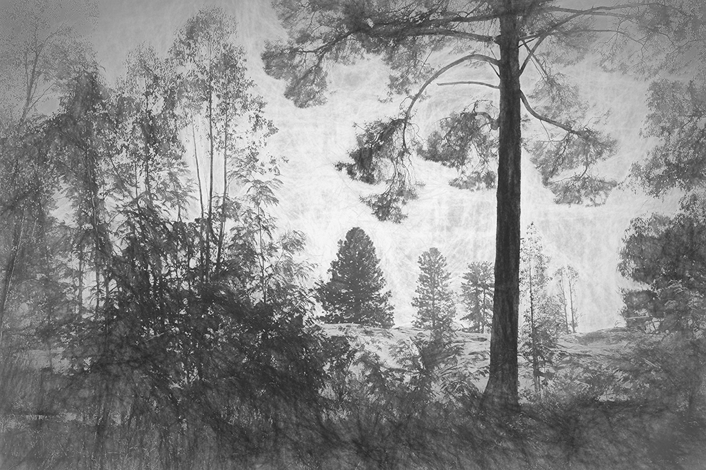 Queen Victoria Park, Beechworth Vic