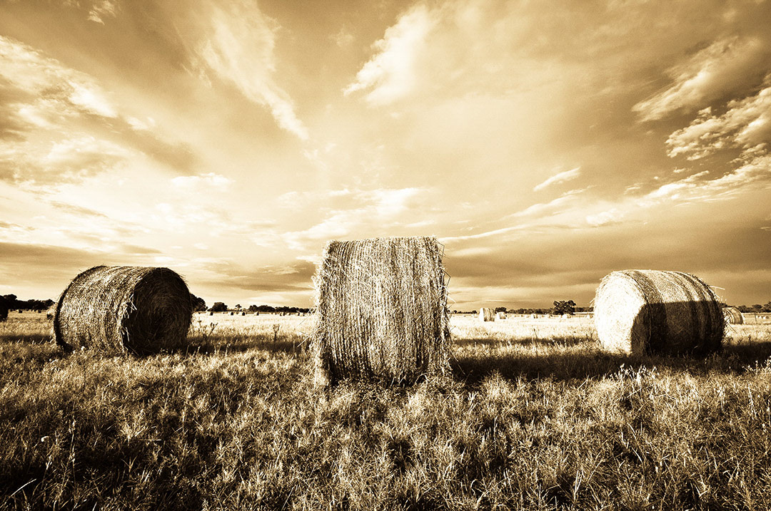 Moorawartha, Southern NSW