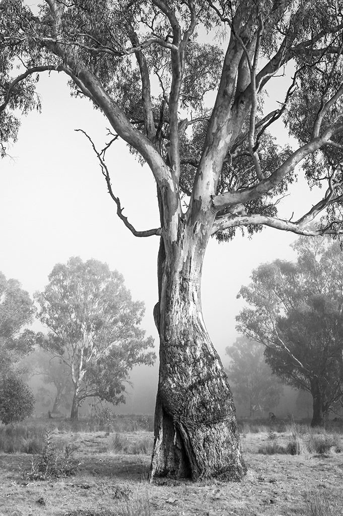 Howlong NSW