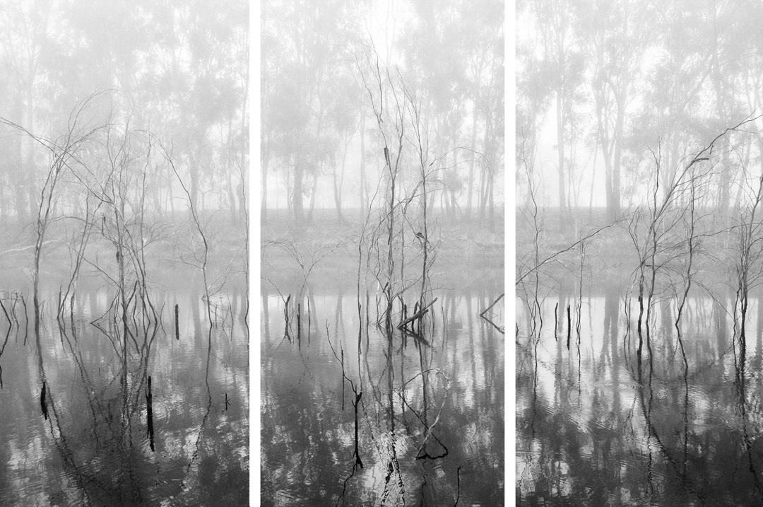 Billabong - Howlong floodplain, NSW