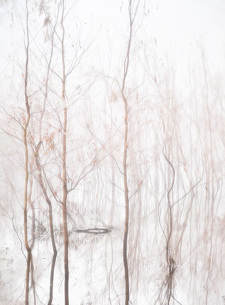 Wetlands, Howlong NSW