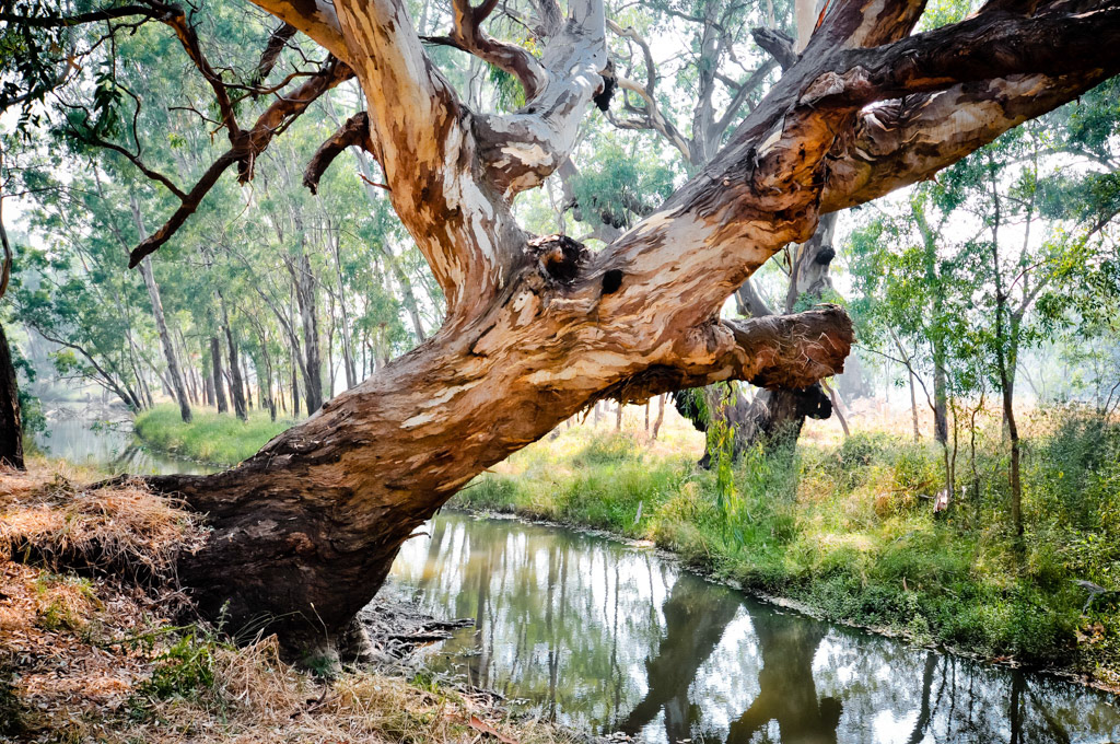 Doolans Reserve, Vic