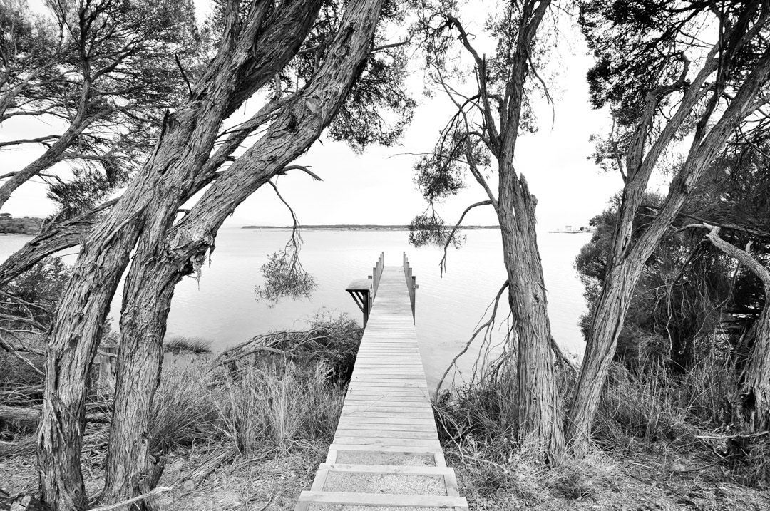 Mallacoota, Vic