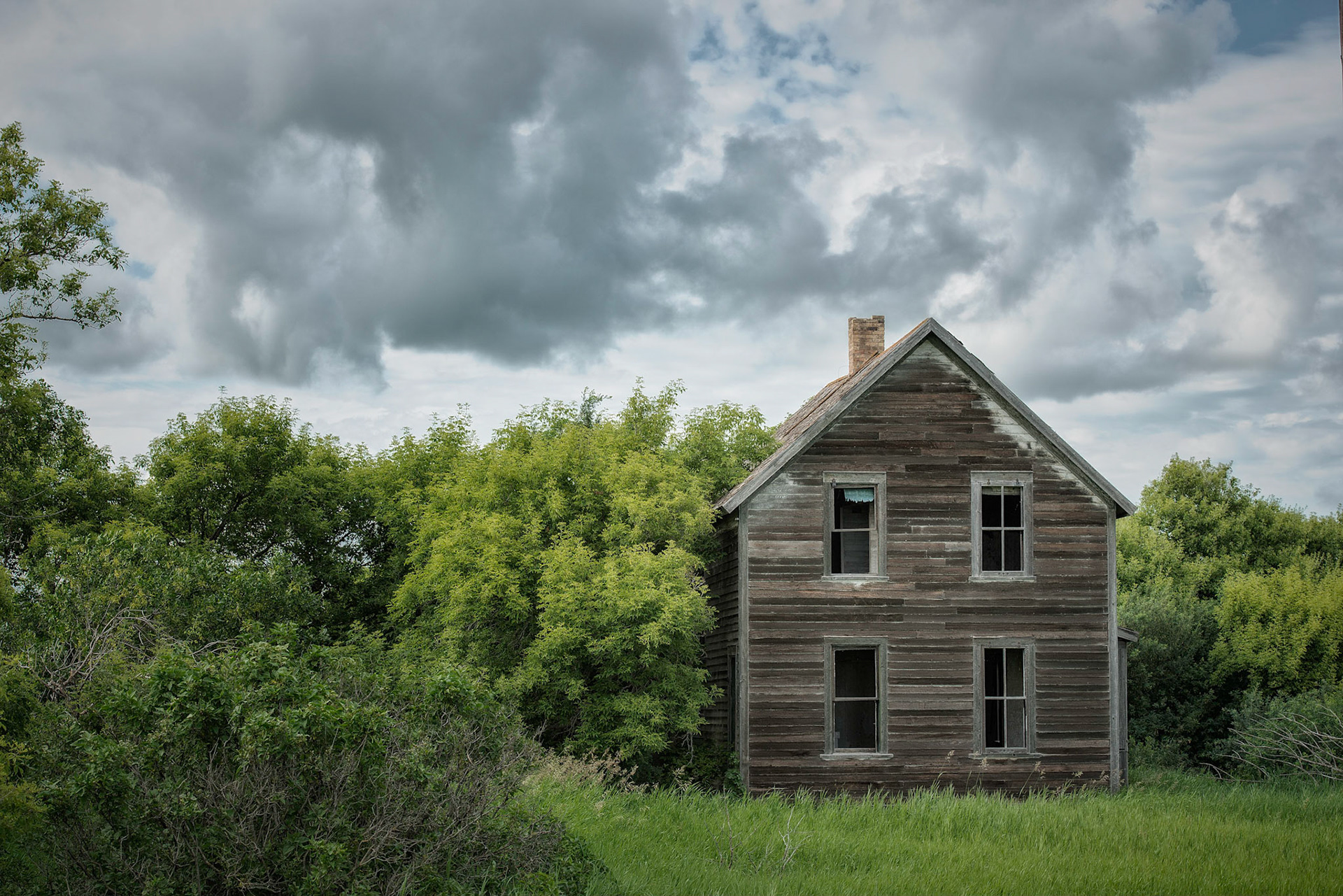 Hoffhouse Overgrown