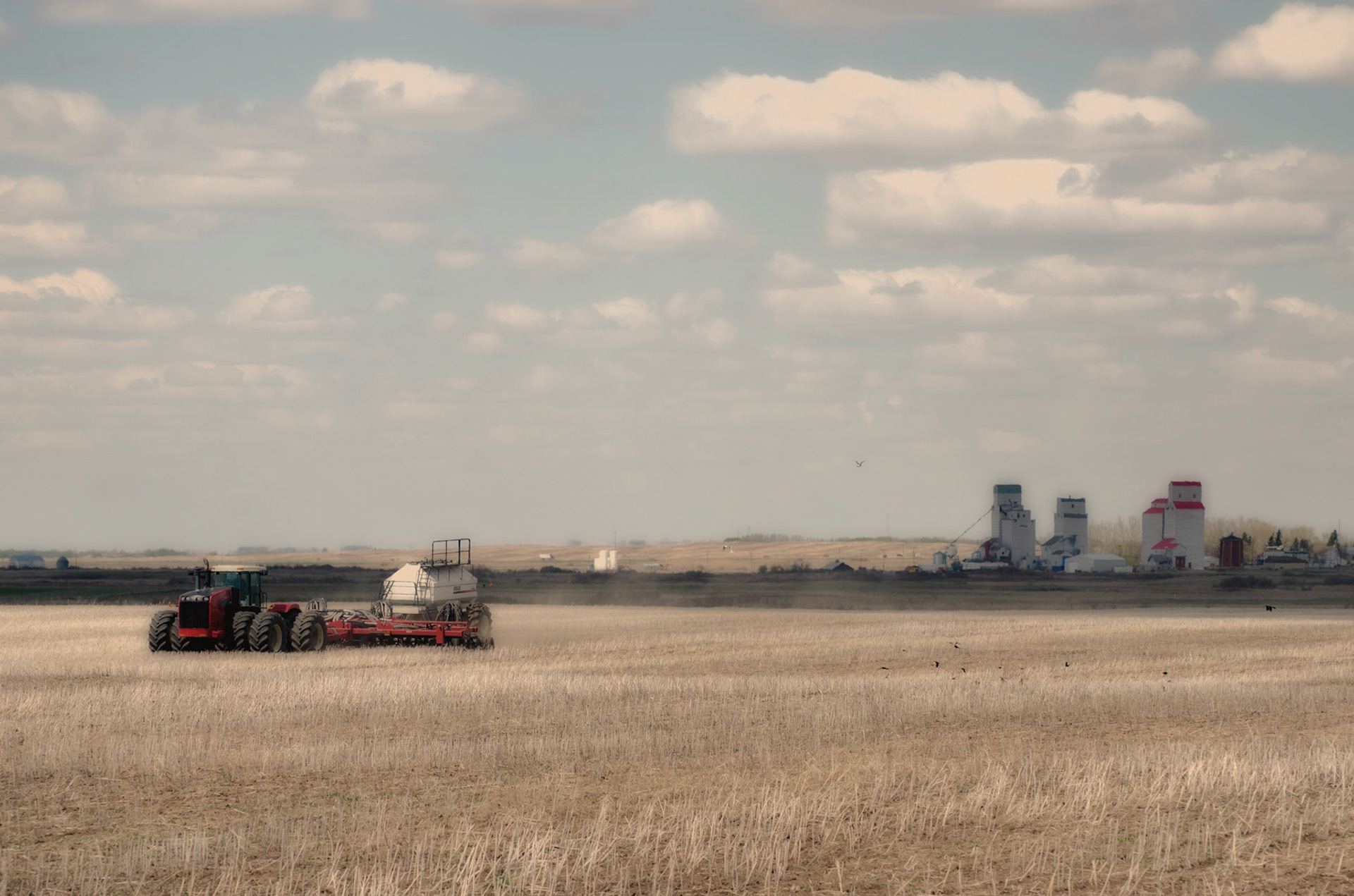 Seeding Southwest Of Town 2