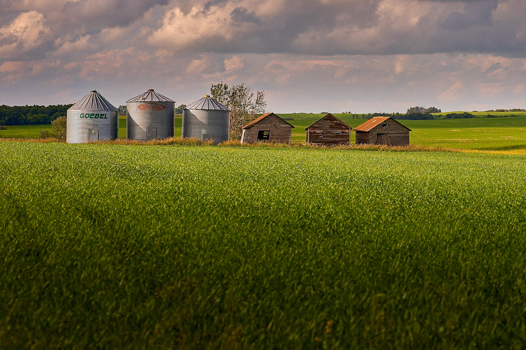 SixBinsInaRow #saskatchewan#prairies
