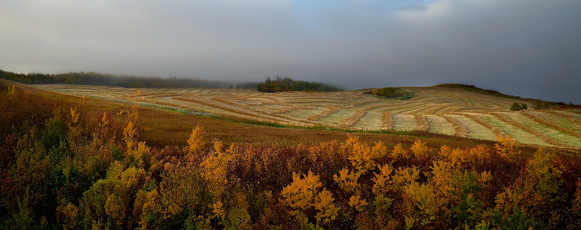 Autumn Morning Glow