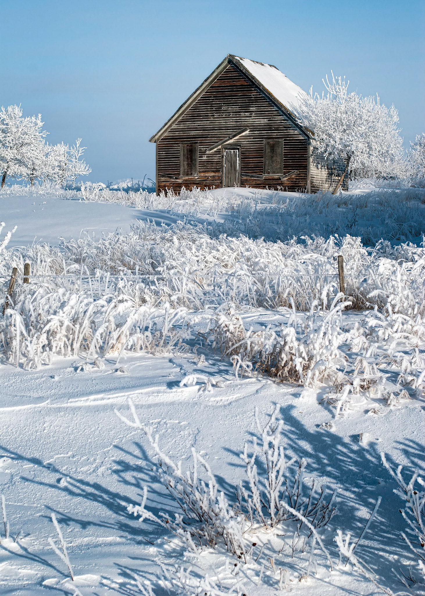 Once Upon A Time Schoolhouse