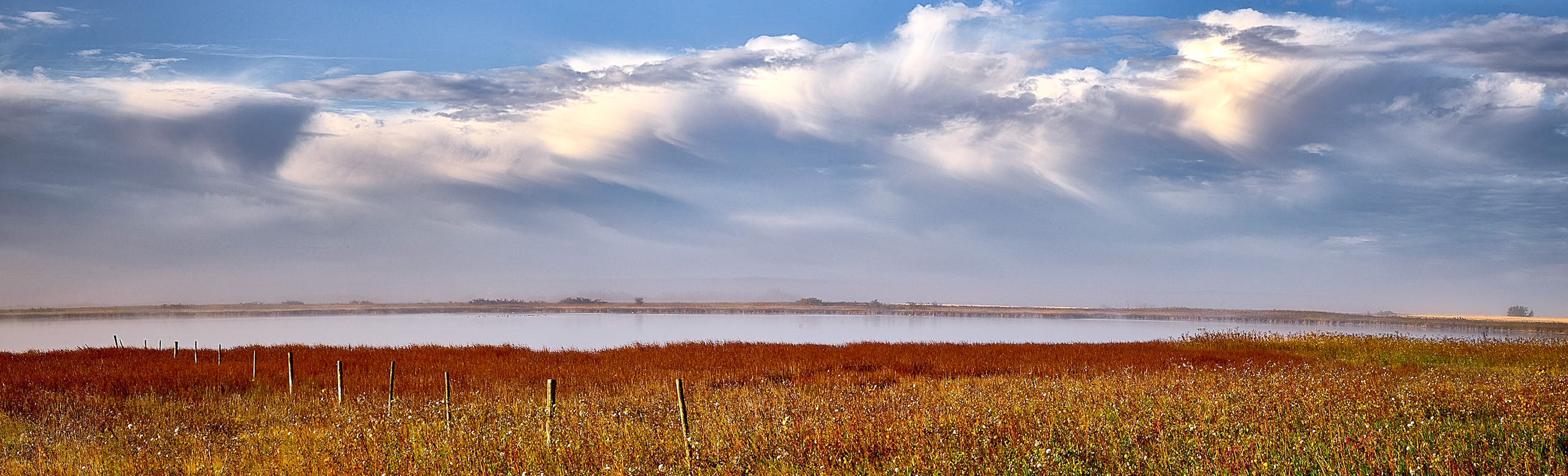 Autumn Marsh Colors