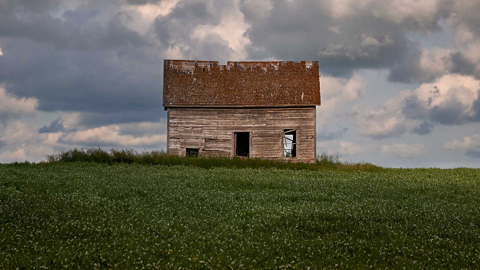 Old Building In A Field Of Peas