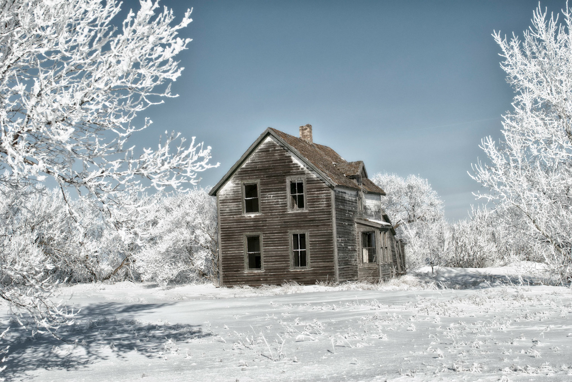 Hoar frost on the prairies.