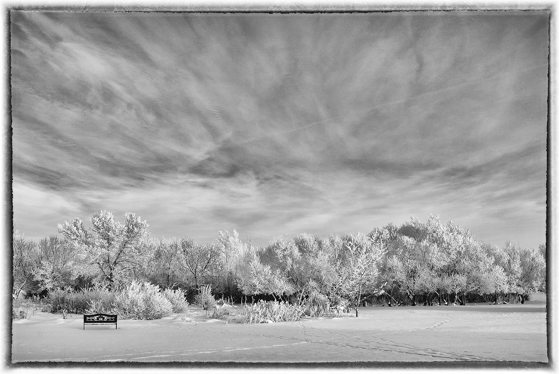 WinterScape With Bench