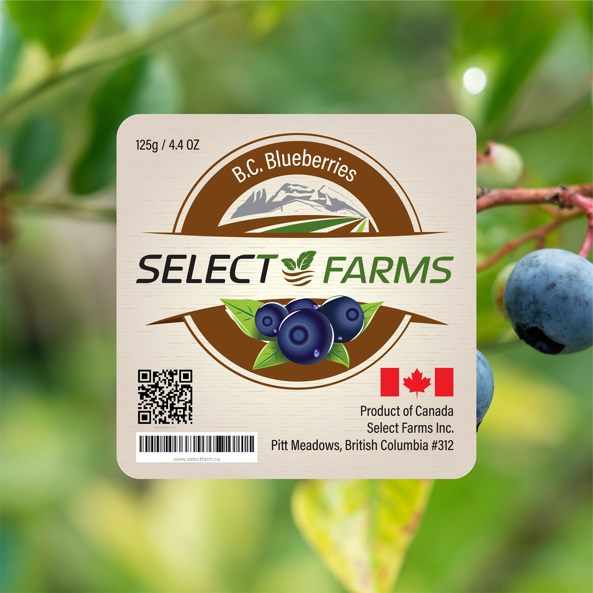 SelectFarms blueberry box label