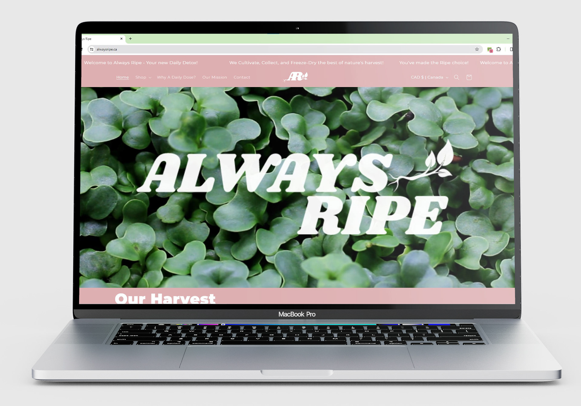 Website Homepage